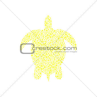 Turtle in yellow design
