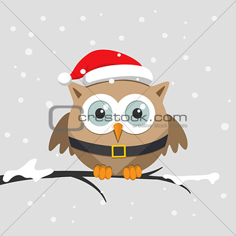 Christmas Male owl with Santa Claus hat