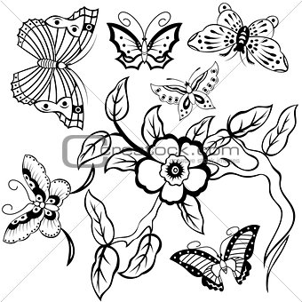 Butterflies and Floral Branch