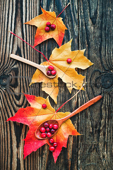 berries of cranberries and a wooden spoon on a maple leaf