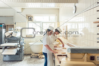 Wide view of bread production in bakery