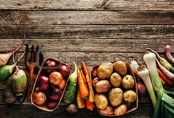 Various vegetables and root crops