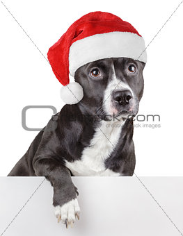 Black dog with Santa Claus or christmas red hat leaning on panel
