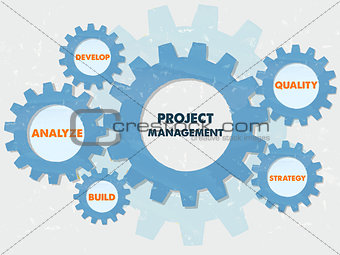 project management and business concept words in grunge flat des