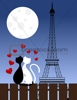 Cats and Eiffel tower