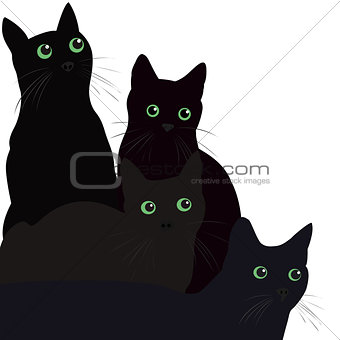 Black cats with green eyes over white background