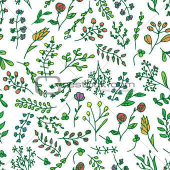 Floral vivid seamless pattern with colorful flowers vector