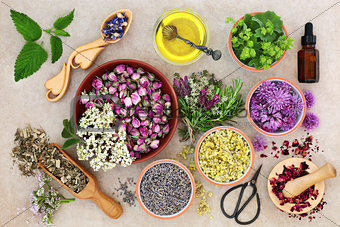 Herbal Medicine Preparation