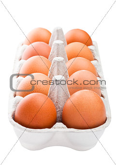 Raw farm fresh eggs in white paper tray