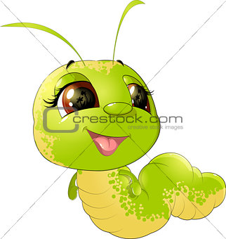 cute insect caterpillar