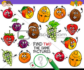 find two the same fruit characters game