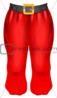 Red trousers of Santa. Traditional Christmas clothes