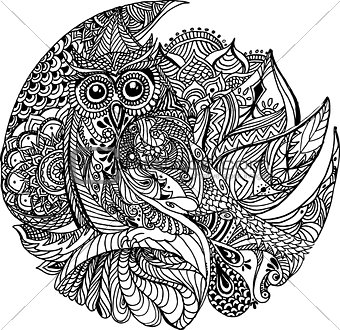 Floral owl design