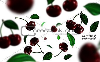 Falling black cherries elements, realistic cherry background on white in 3d illustration