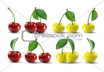 Big collection of photo-realistic vector illustration of ripe and yellow cherries.