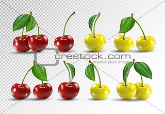 Cherry realistic fruit vector icons set. Vector illustration on transparent background