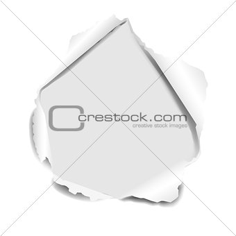 Torn Paper Isolated White background