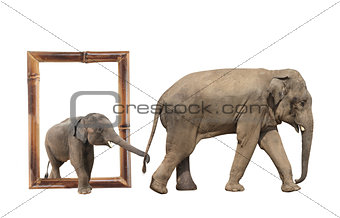 Family of elephant in bamboo frame with 3d effect