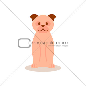 Beige pug with brown ears and nose sits on a white background