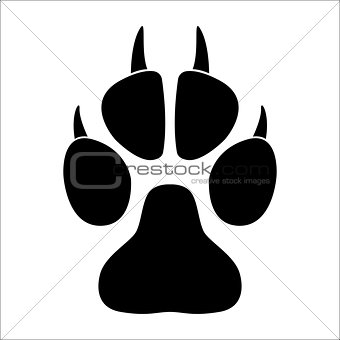 Animal paw print on a white background