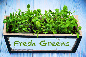 Fresh Greens in Box