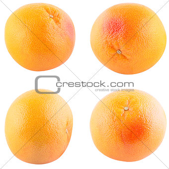 Collection of whole grapefruit