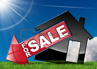 House Symbol For Sale on Green Grass