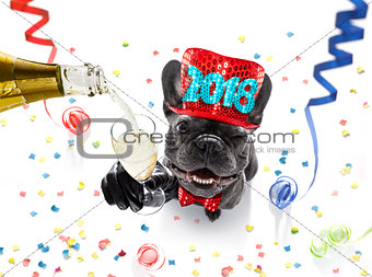 happy new year dog celebration