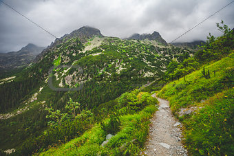 Mountain trail in High Tatra. Nature landscape