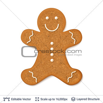 Gingerbread cookie man isolated on white.