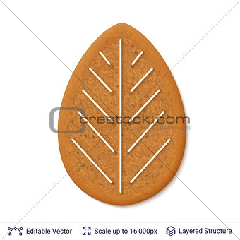Gingerbread cookie isolated on white.