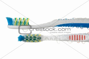 Tooth brushes