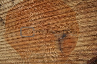 Lumber crosscut