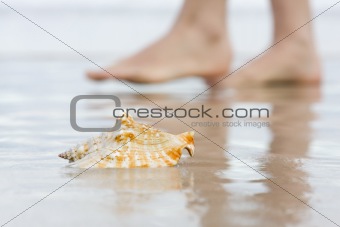 Shell and bare feet on beach