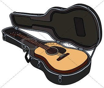 The guitar in a hard guitar case
