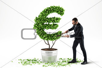 Potted plant with eur shape. 3D Rendering