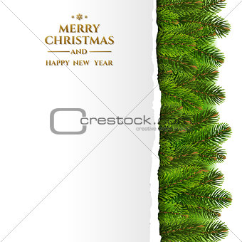 Fir Tree Border With Ripped Paper