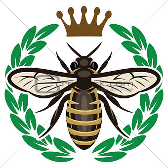 Vector color pattern with flying bee and crown
