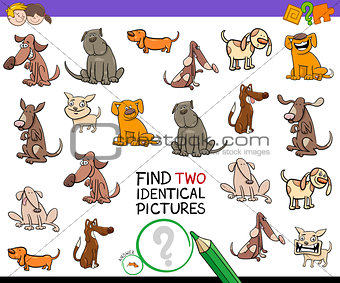 find identical cartoon pictures of dogs game