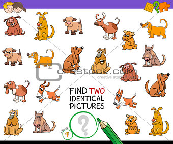 find two identical pictures game with dogs