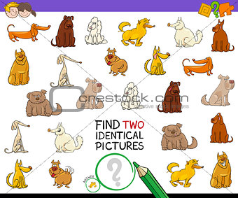 find two identical pictures activity with dogs