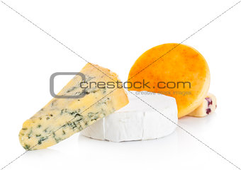 Selection of different cheese on white background