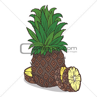 Isolate ripe ananas fruit