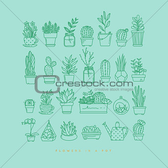 Icon plants in pots turquoise