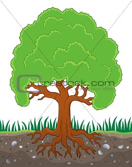 Tree with roots theme image 3