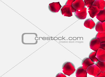 Abstract Natural Rose Petals o Background Realistic Vector Illustration