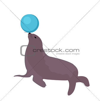 Sea lion with a ball, circus icon flat style, isolated on white background. Vector illustration.