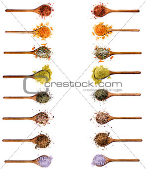 Collection of Spices in Wooden Spoons
