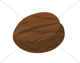 Walnut, nuts icon flat style. Isolated on white background. Vector illustration.