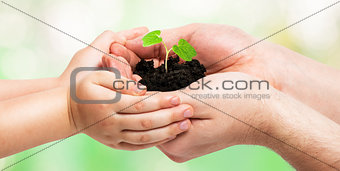 Father gives a little sprout to the baby, ecology concept